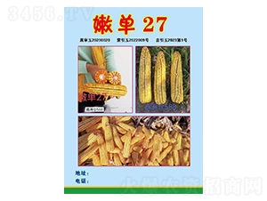 玉米�N子-嫩��27-久翔�r�I