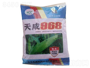 天成968-玉米種子-農哈哈-天成種業